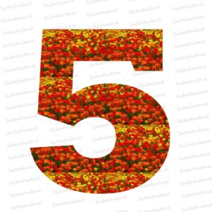 Nummer 5 mit Blumen als Hintergrund