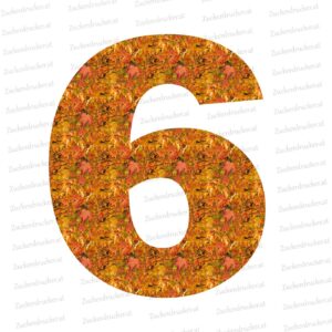 Nummer 6 mit Herbstblaettern als Hintergrund