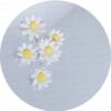 Margeritenblüten aus Fondant